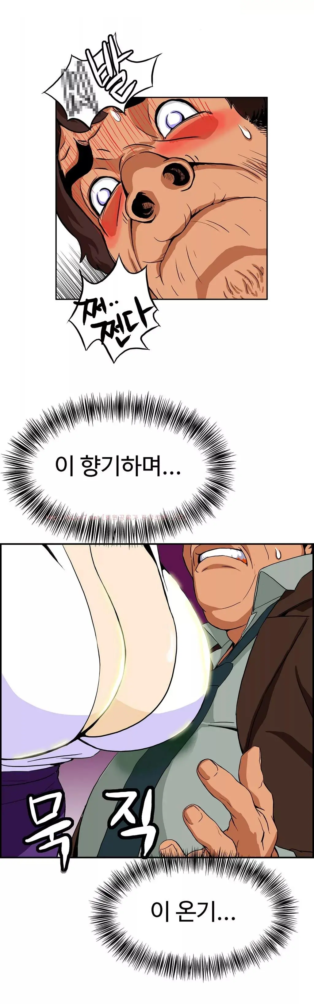 Chauffeur Service Ch.1-30.5