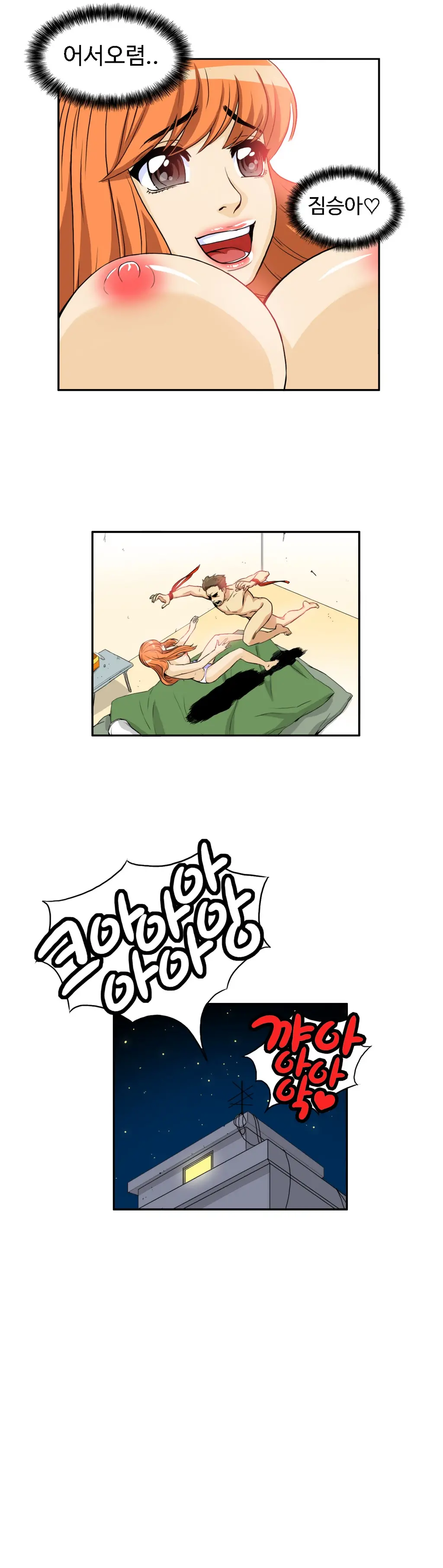 Chauffeur Service Ch.1-30.5