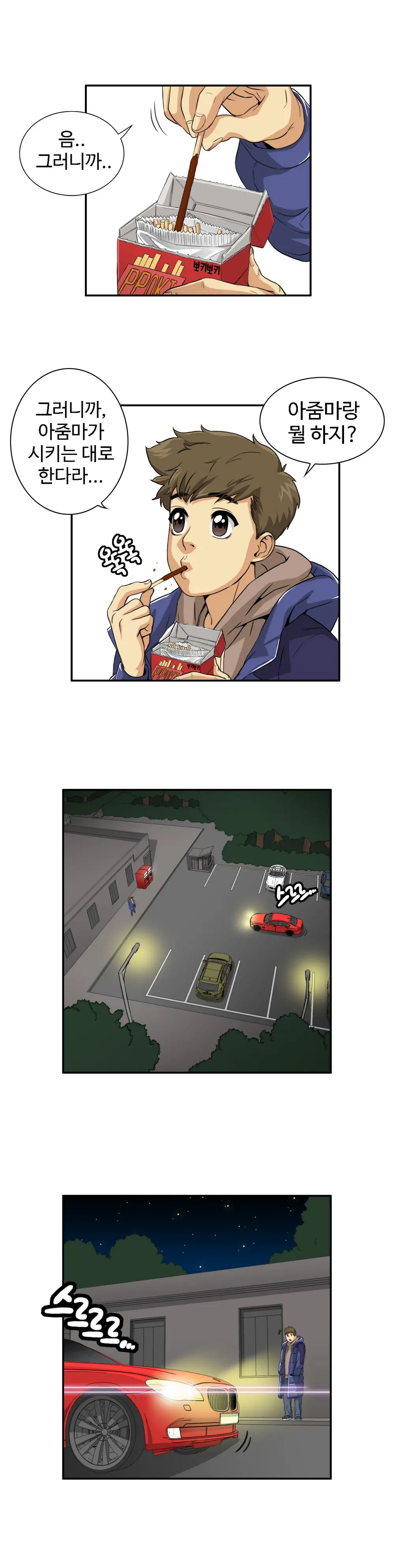 Chauffeur Service Ch.1-30.5