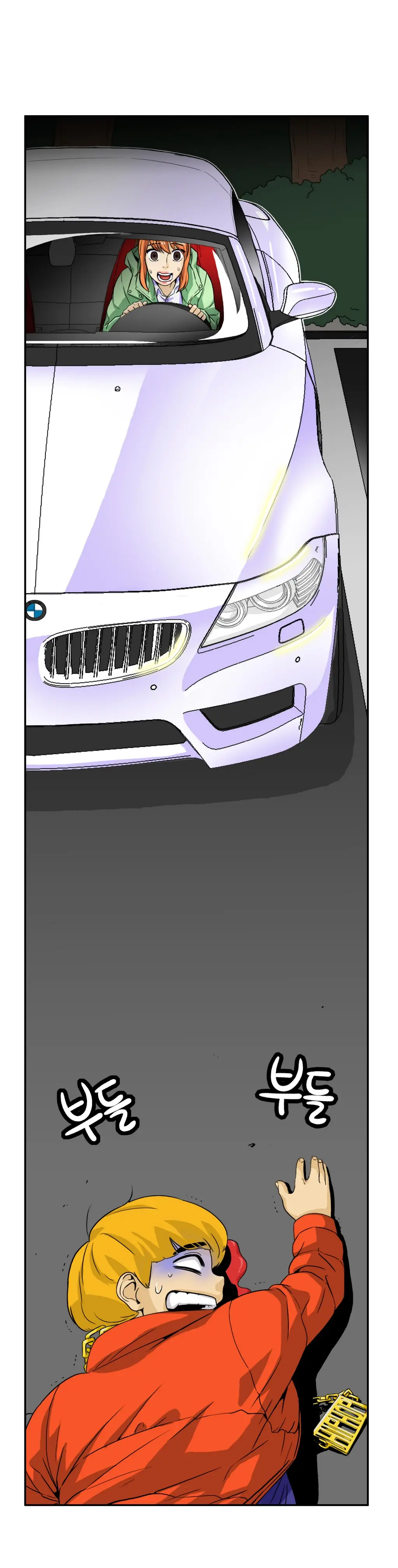 Chauffeur Service Ch.1-30.5