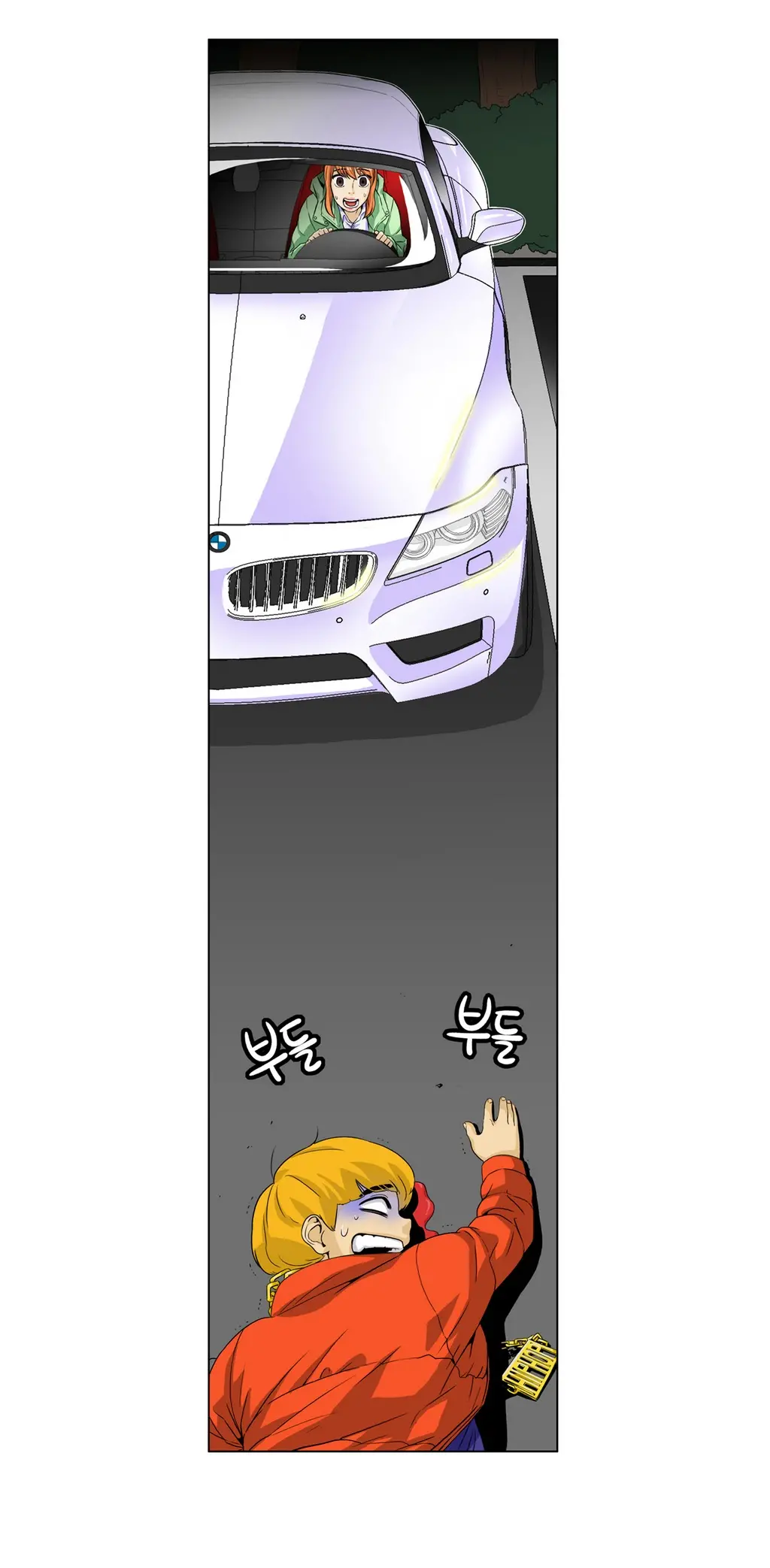 Chauffeur Service Ch.1-30.5