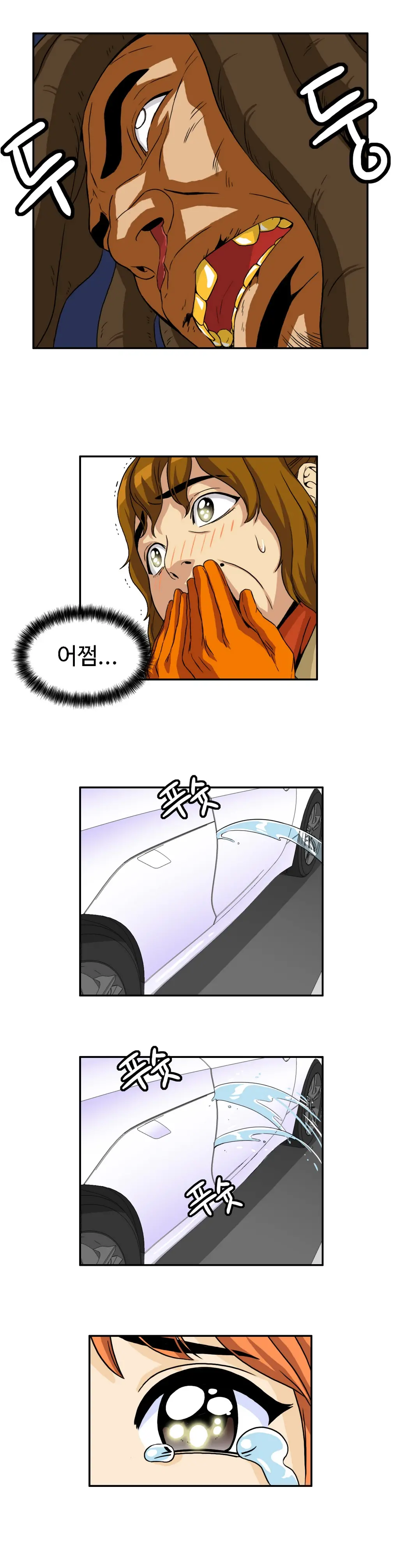 Chauffeur Service Ch.1-30.5