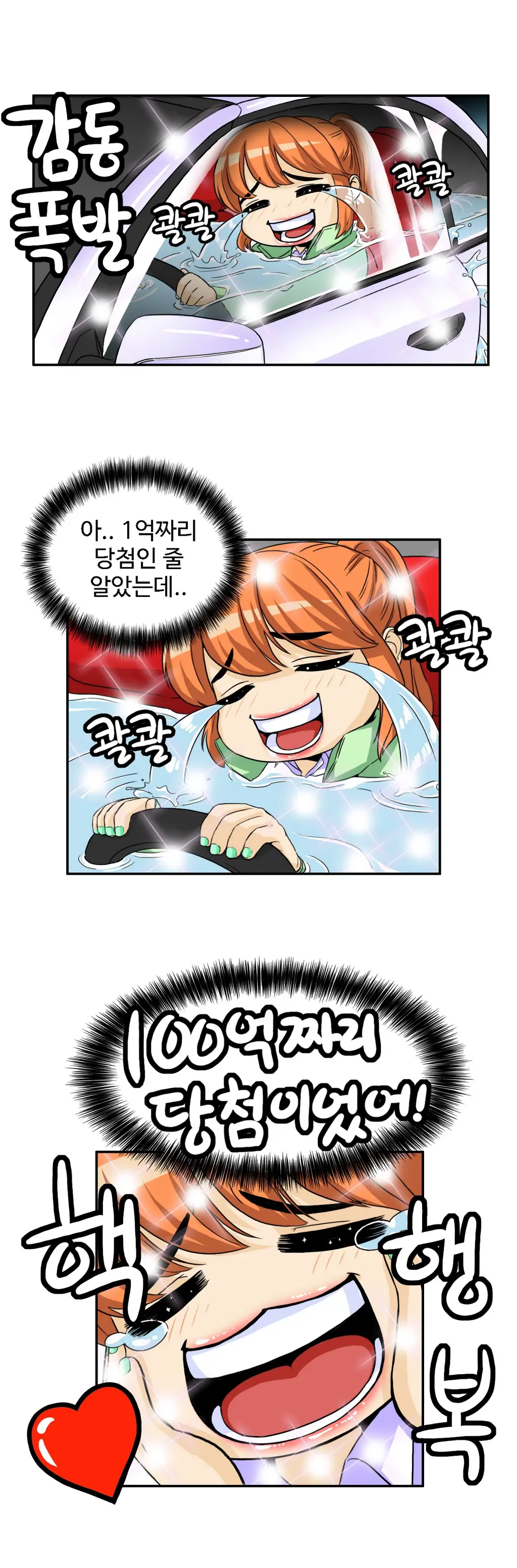 Chauffeur Service Ch.1-30.5