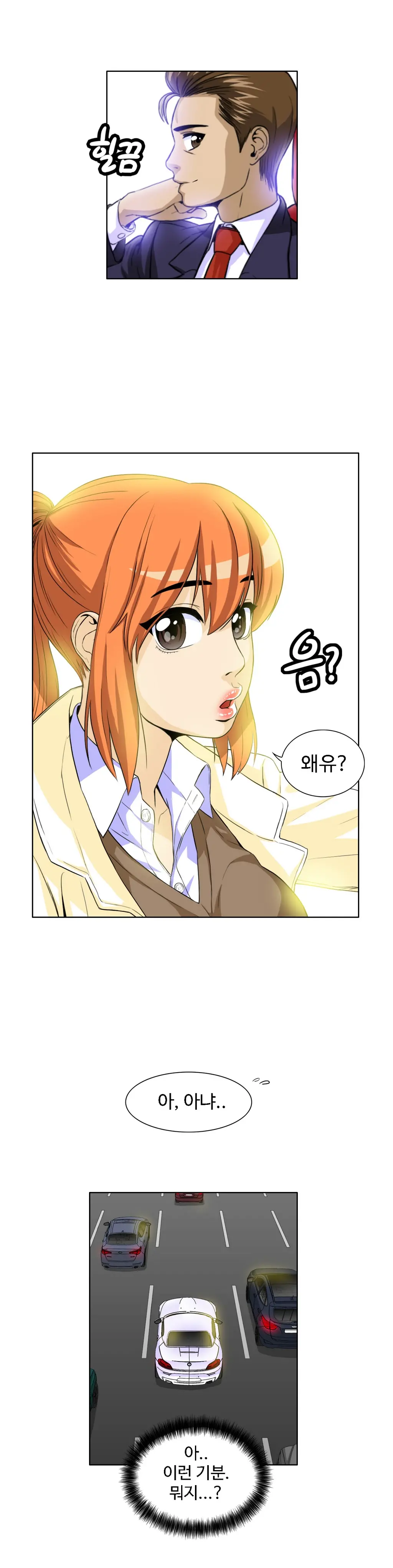 Chauffeur Service Ch.1-30.5