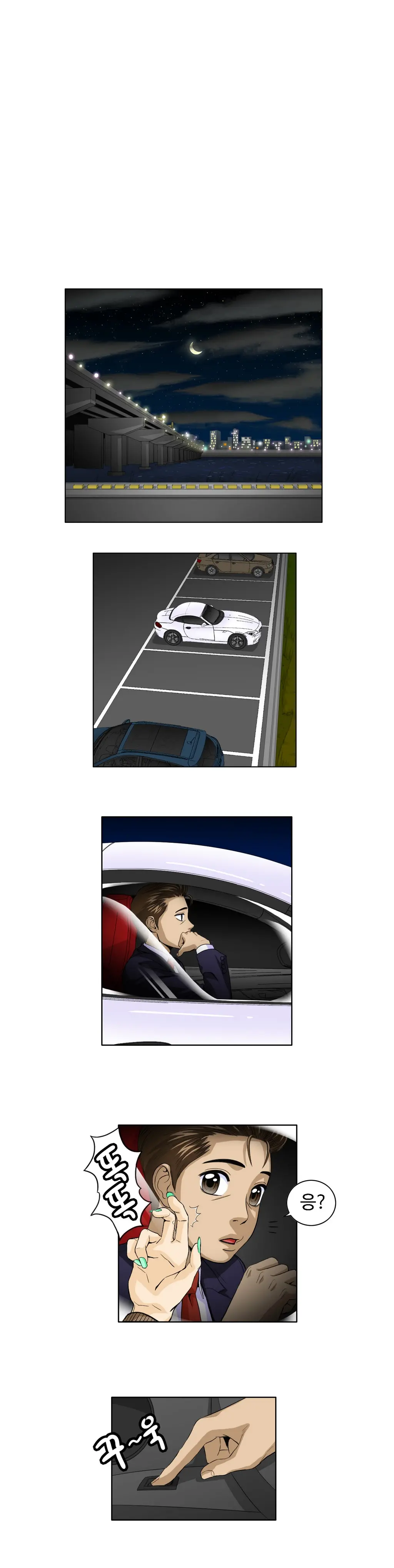 Chauffeur Service Ch.1-30.5