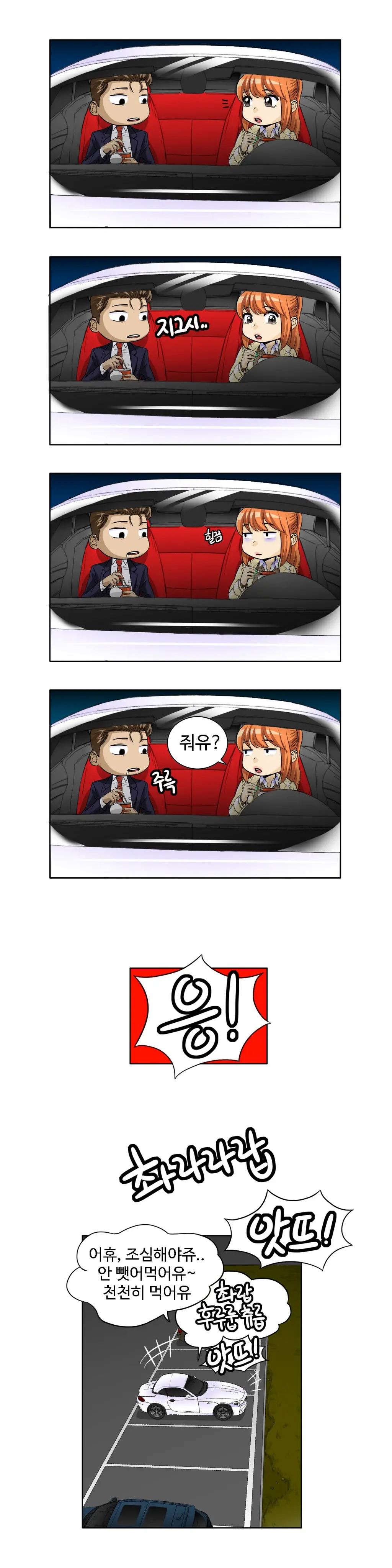 Chauffeur Service Ch.1-30.5