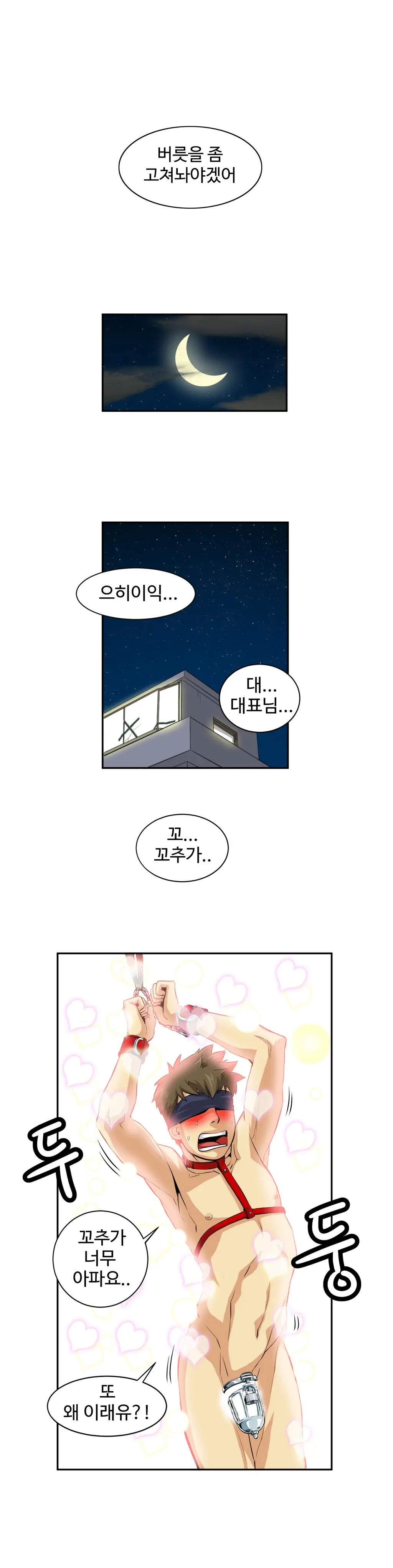 Chauffeur Service Ch.1-30.5