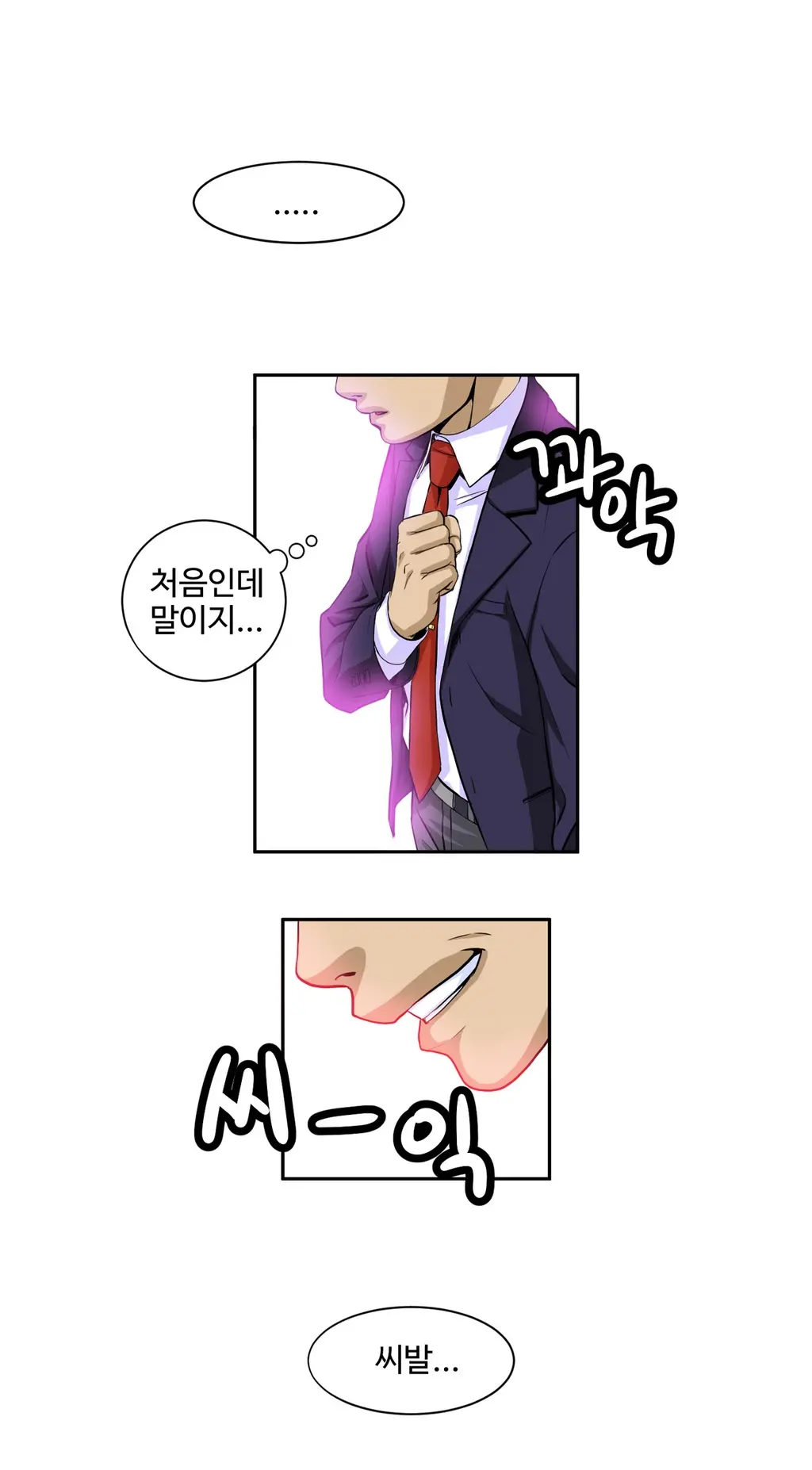 Chauffeur Service Ch.1-30.5