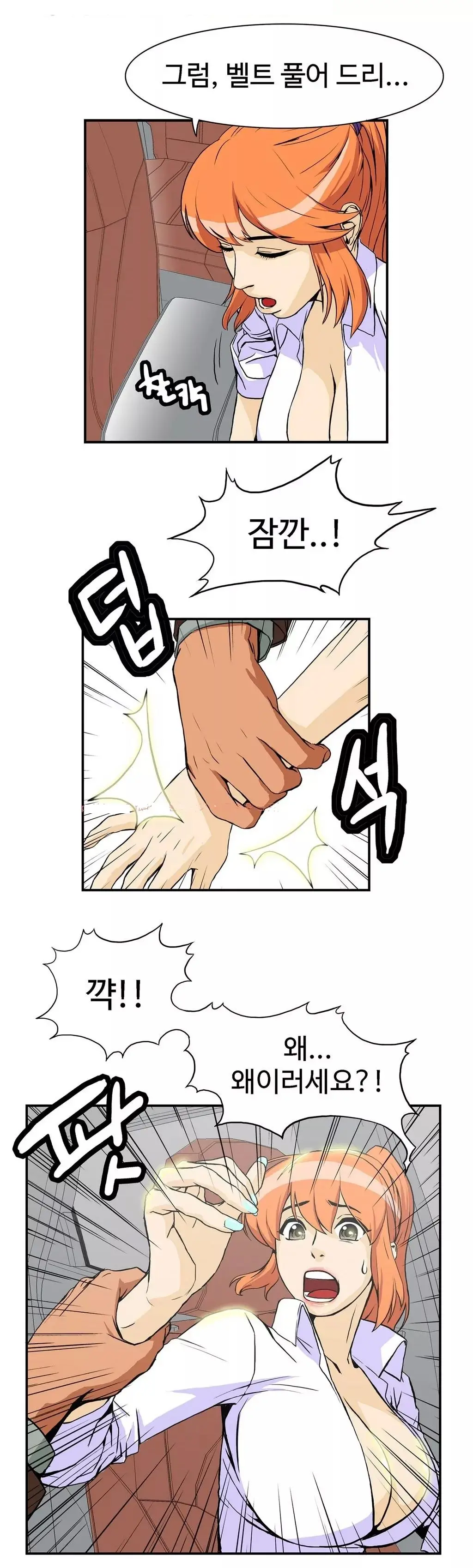 Chauffeur Service Ch.1-30.5