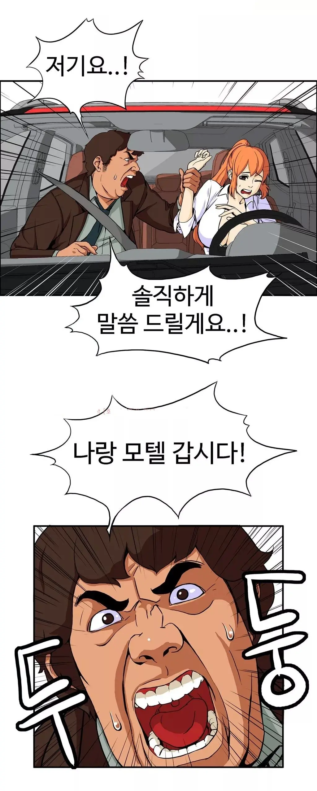 Chauffeur Service Ch.1-30.5