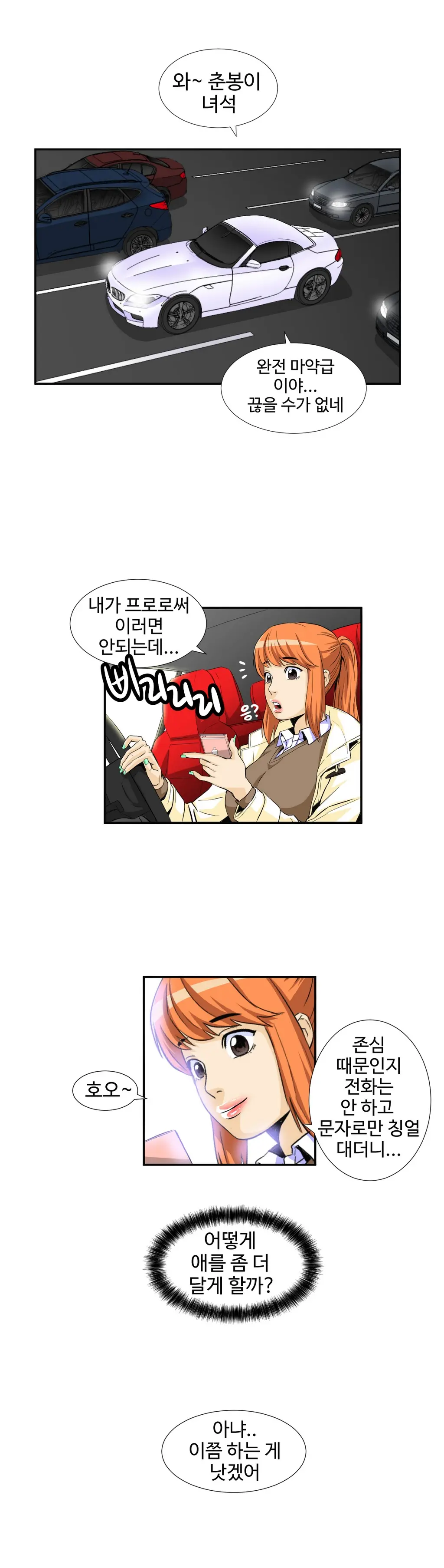 Chauffeur Service Ch.1-30.5