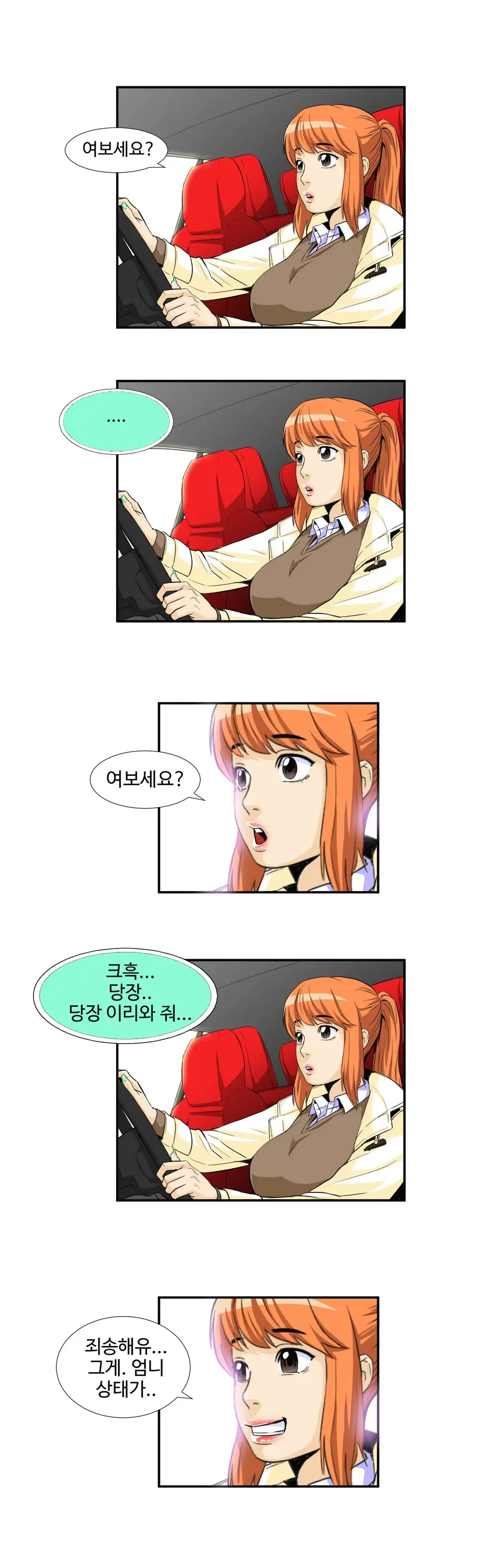 Chauffeur Service Ch.1-30.5