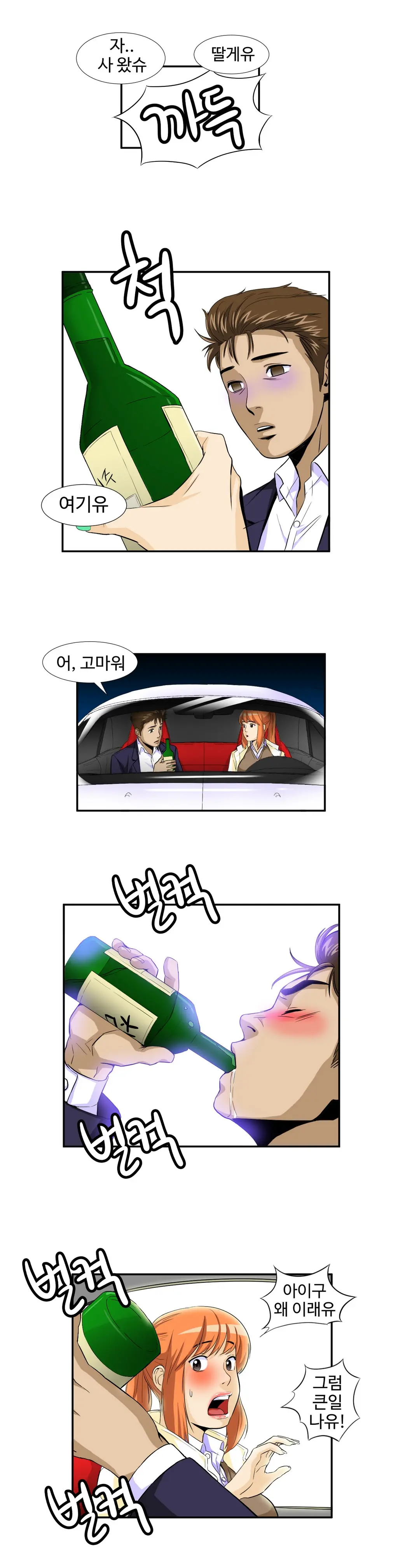 Chauffeur Service Ch.1-30.5