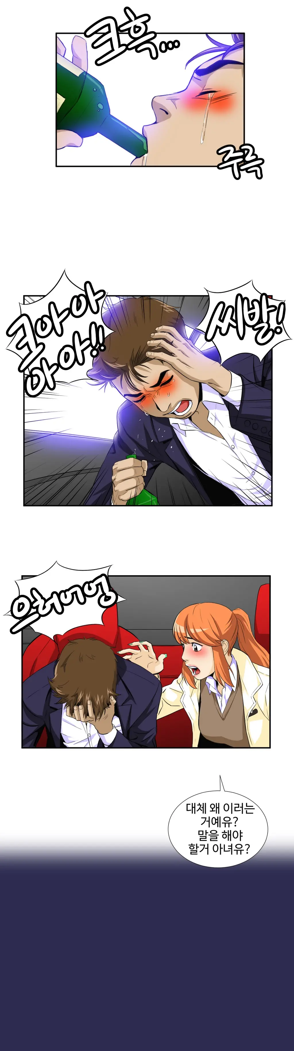 Chauffeur Service Ch.1-30.5