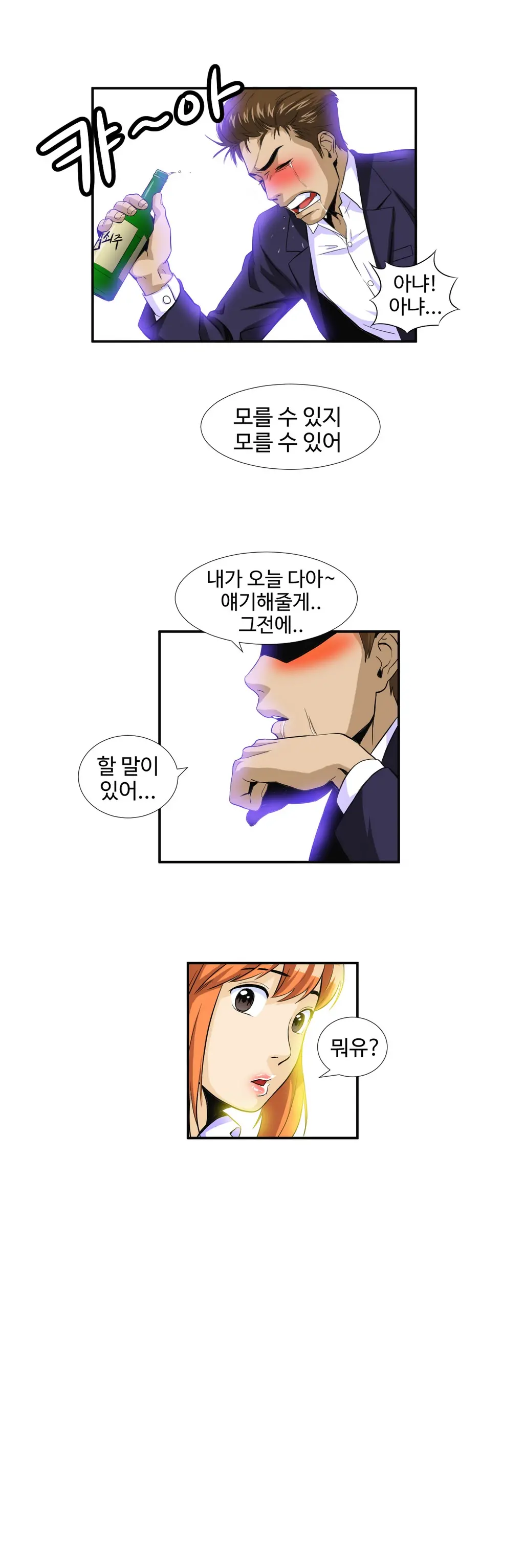 Chauffeur Service Ch.1-30.5