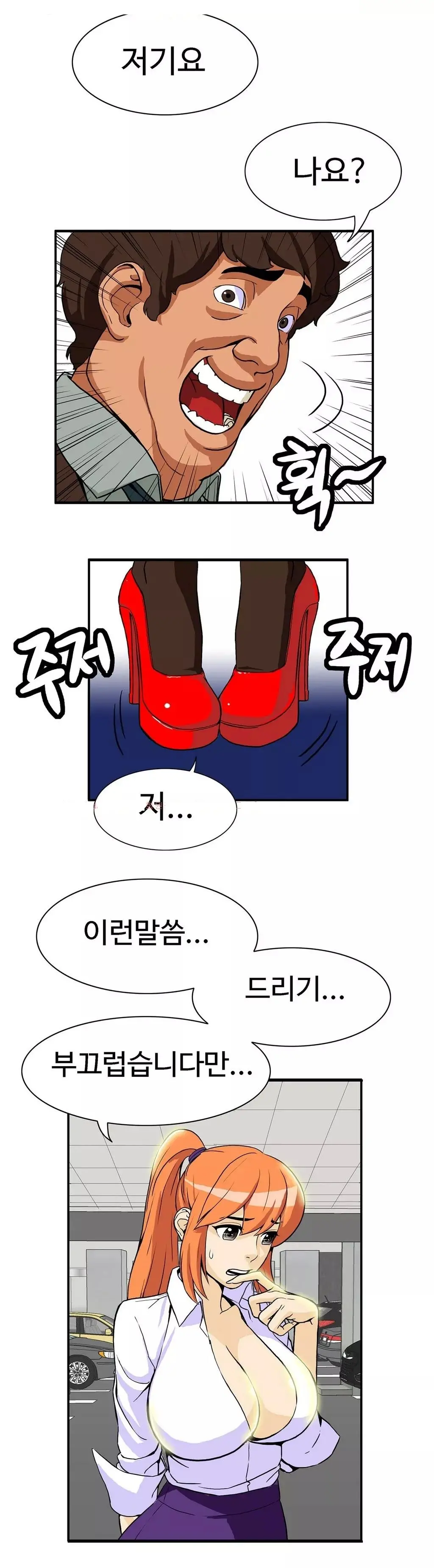 Chauffeur Service Ch.1-30.5