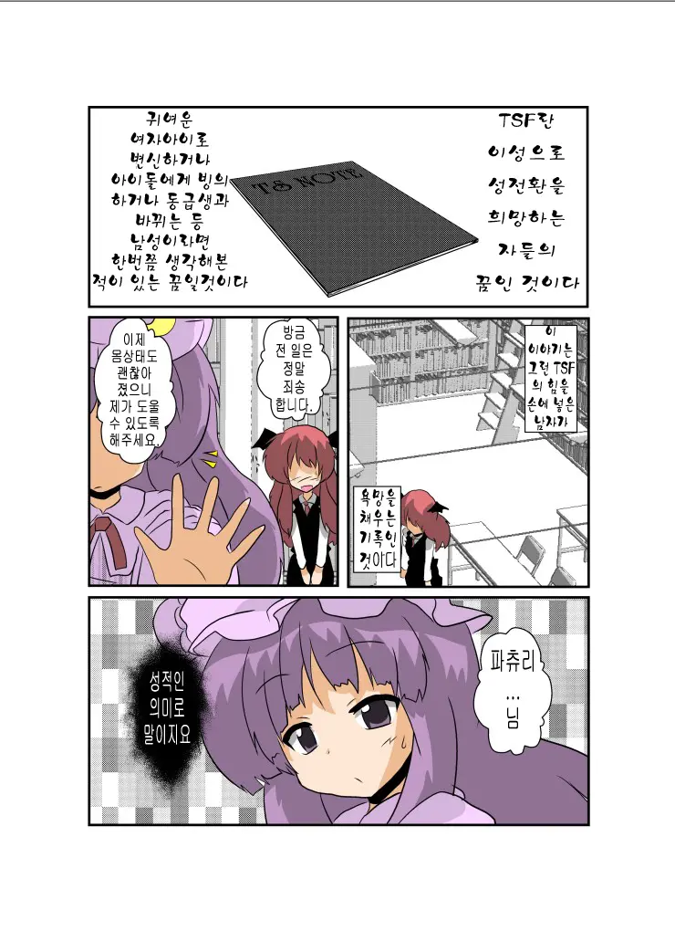 Touhou TS Monogatari ~Patchouli Hen~