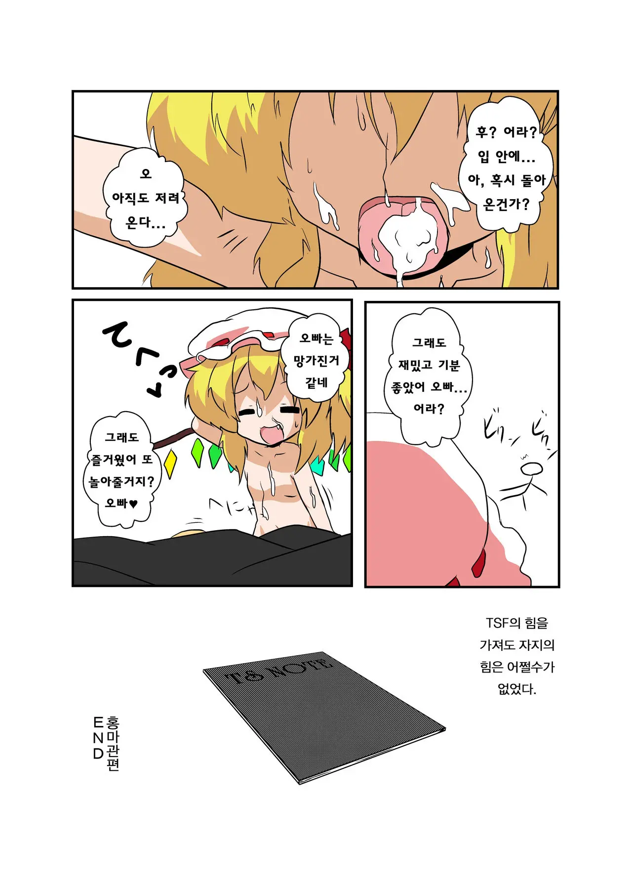 Touhou TS Monogatari ~Flandre Hen~