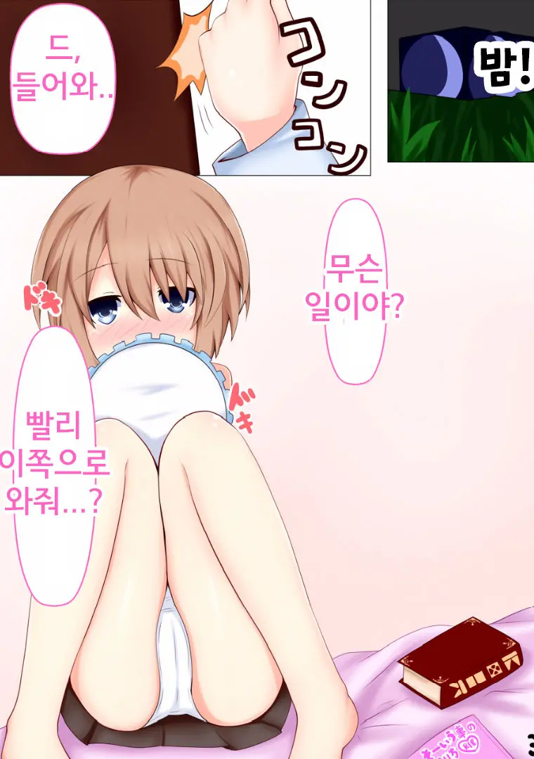 Shiro No Koibito