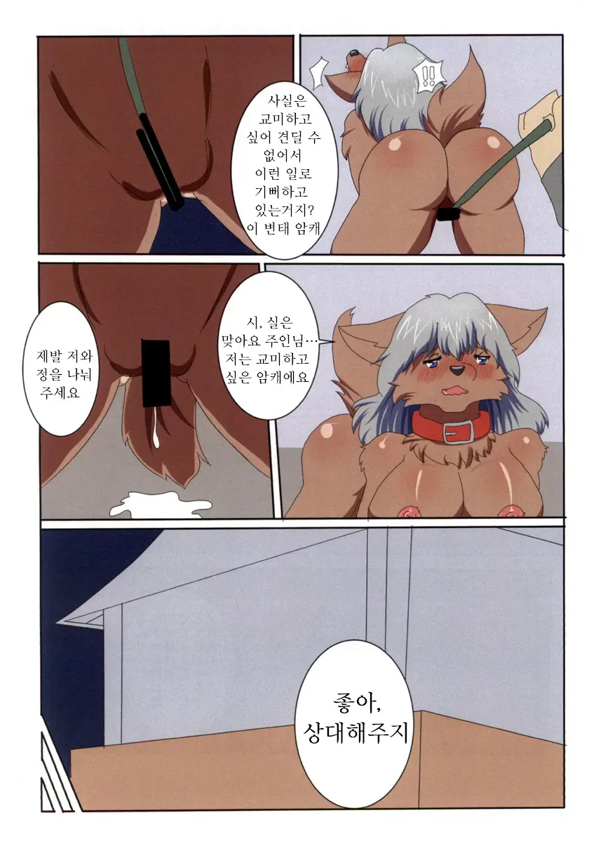 Aigan Mesuinu