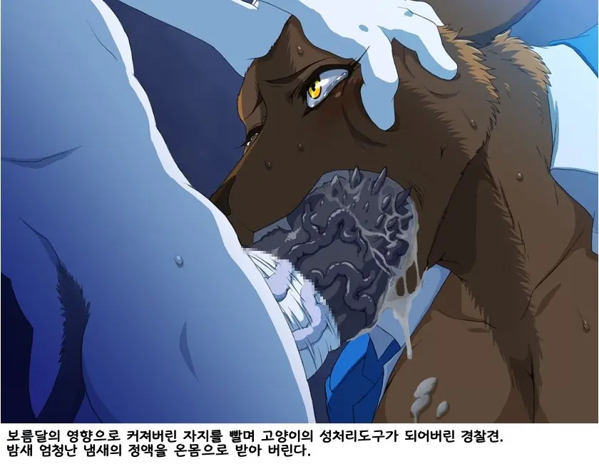 68'S Furry Collection