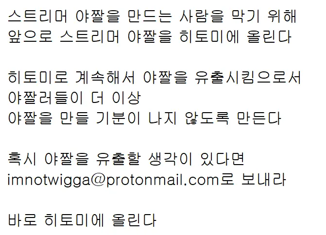 스트리머 야짤