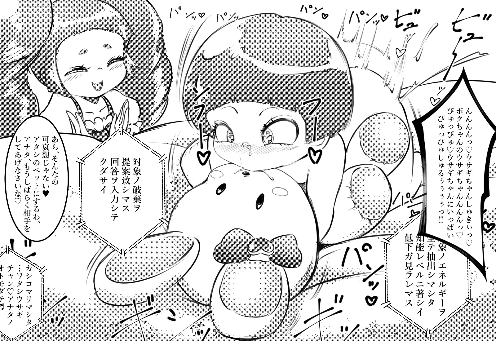 Cocco FANBOX