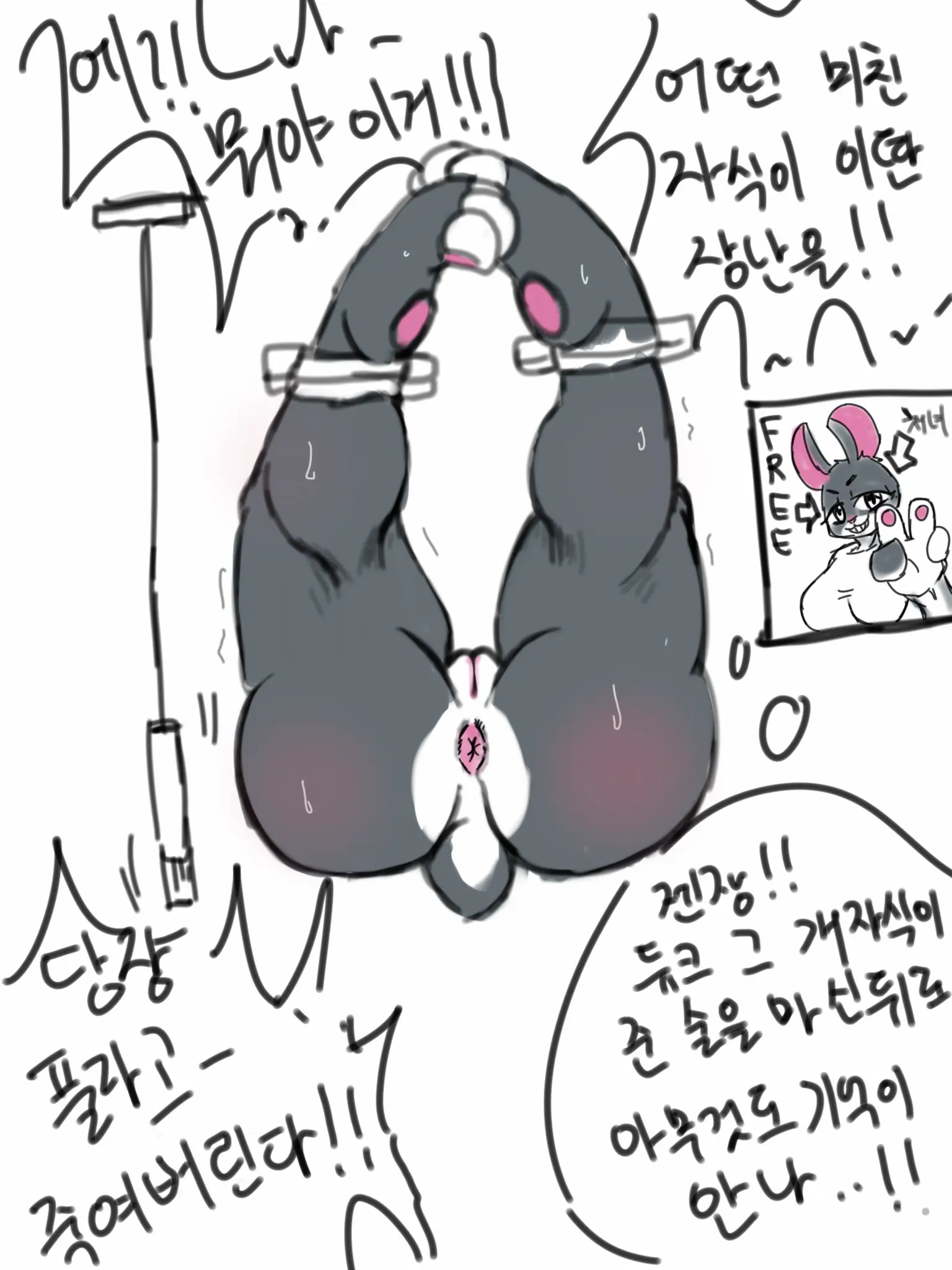 Hakiahki