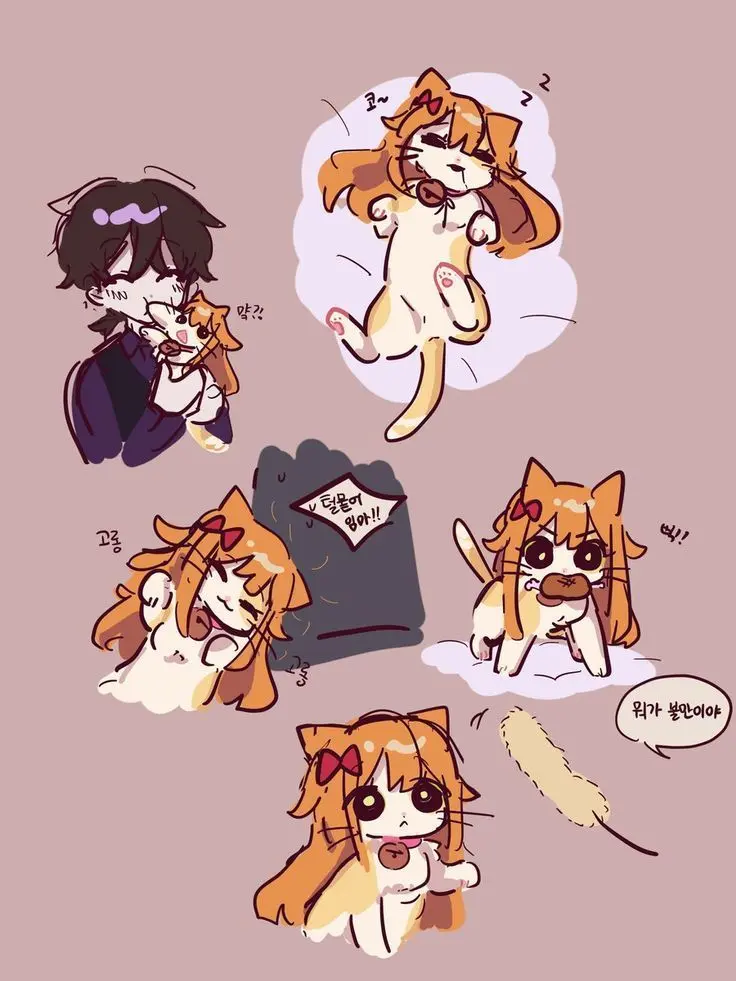 Hadink/Hijichan