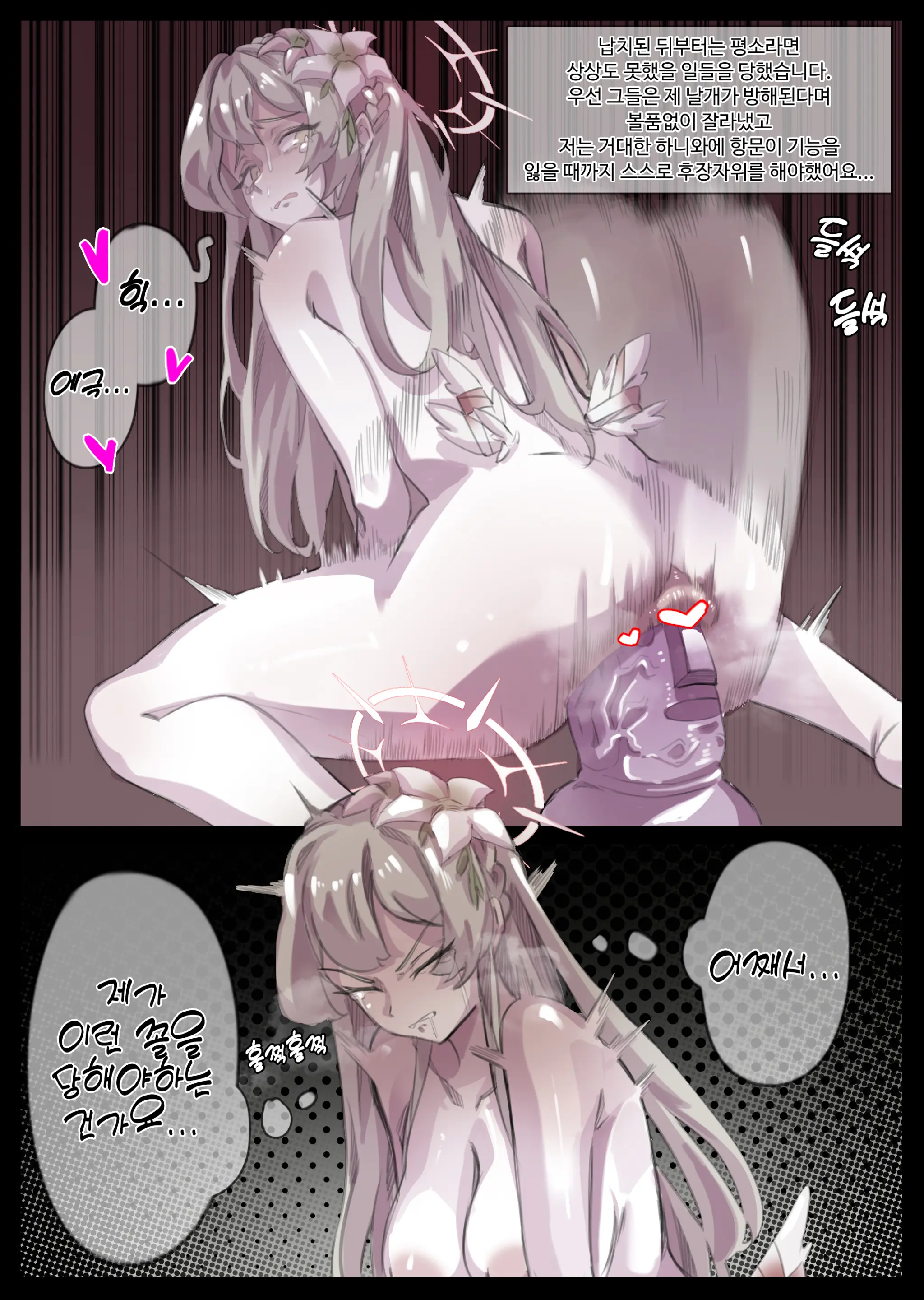 無名老圖