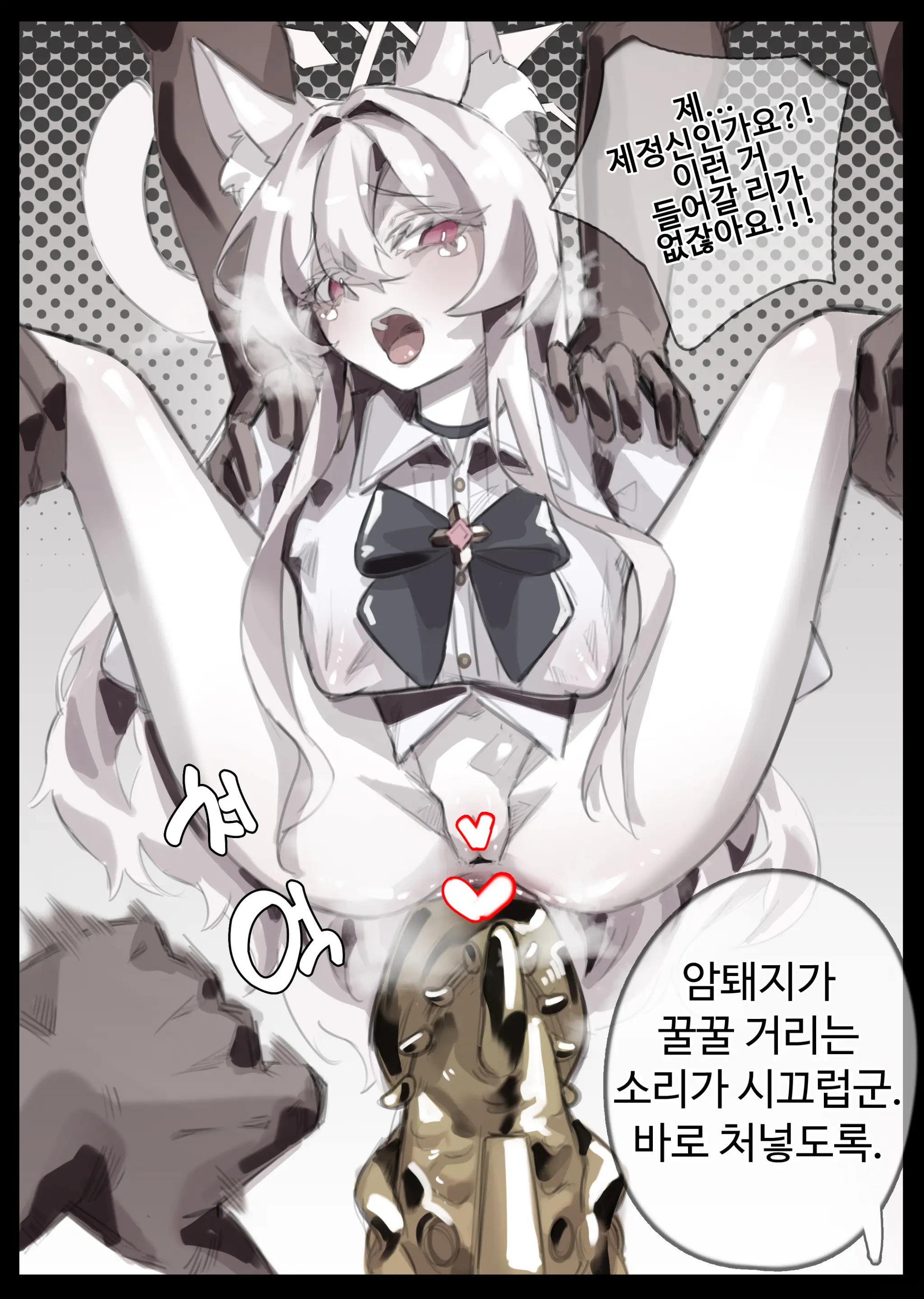 無名老圖