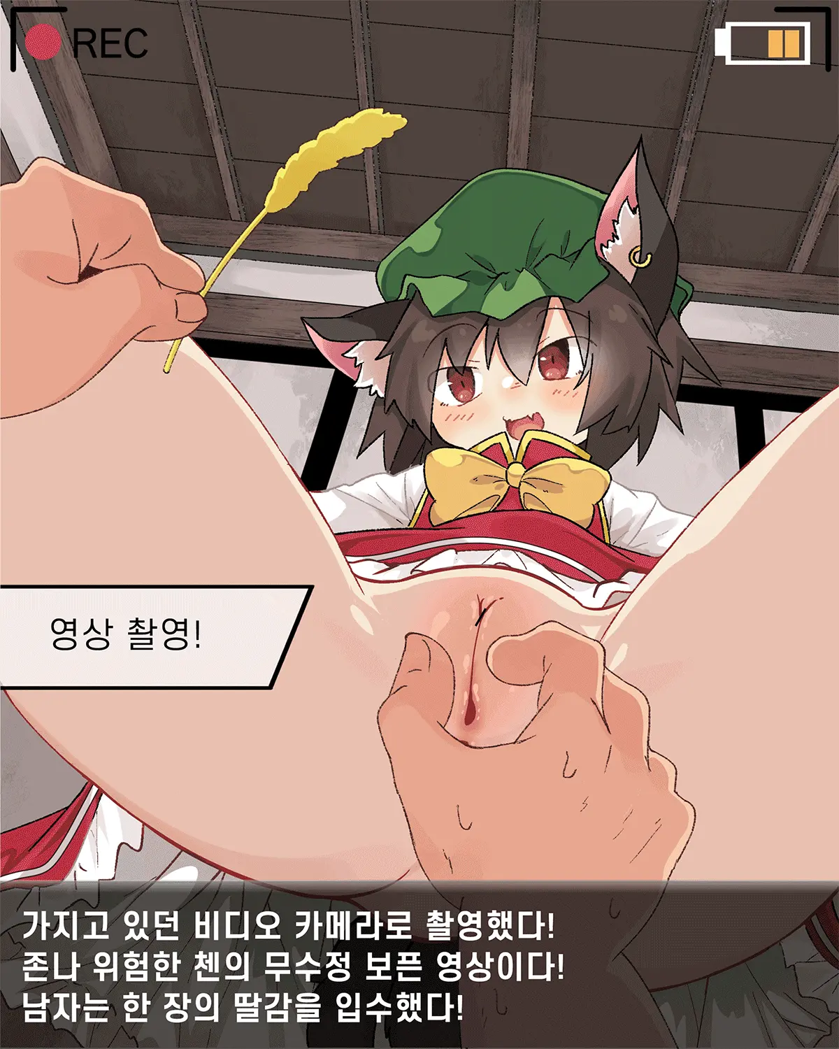 Lolimate ロリメイト | 로리메이트