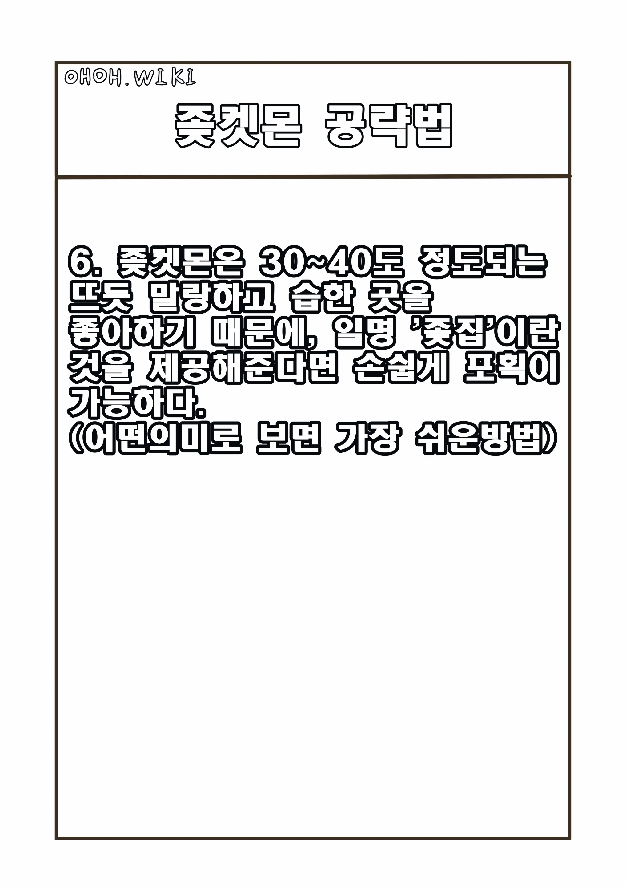 OhohZZang
