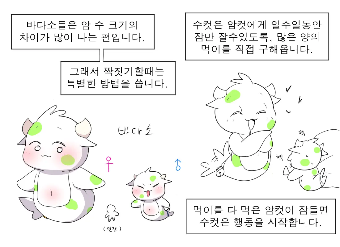 머랭