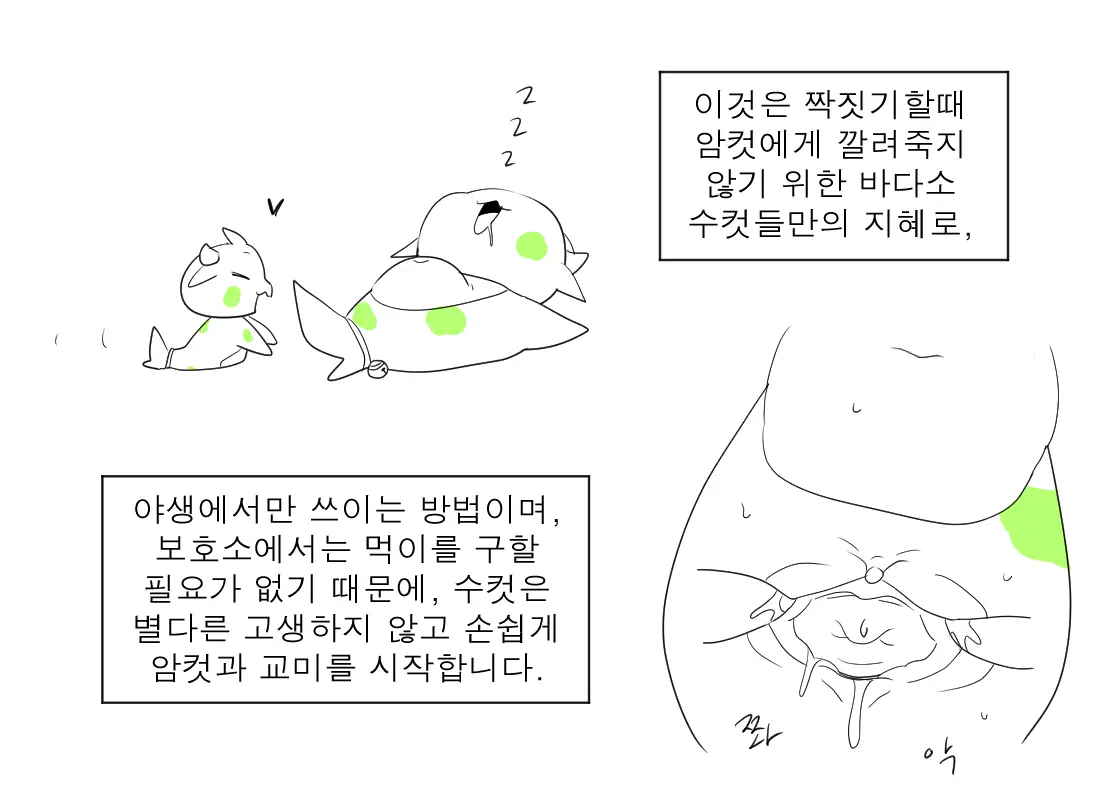 머랭
