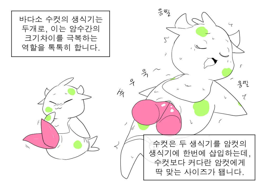 머랭