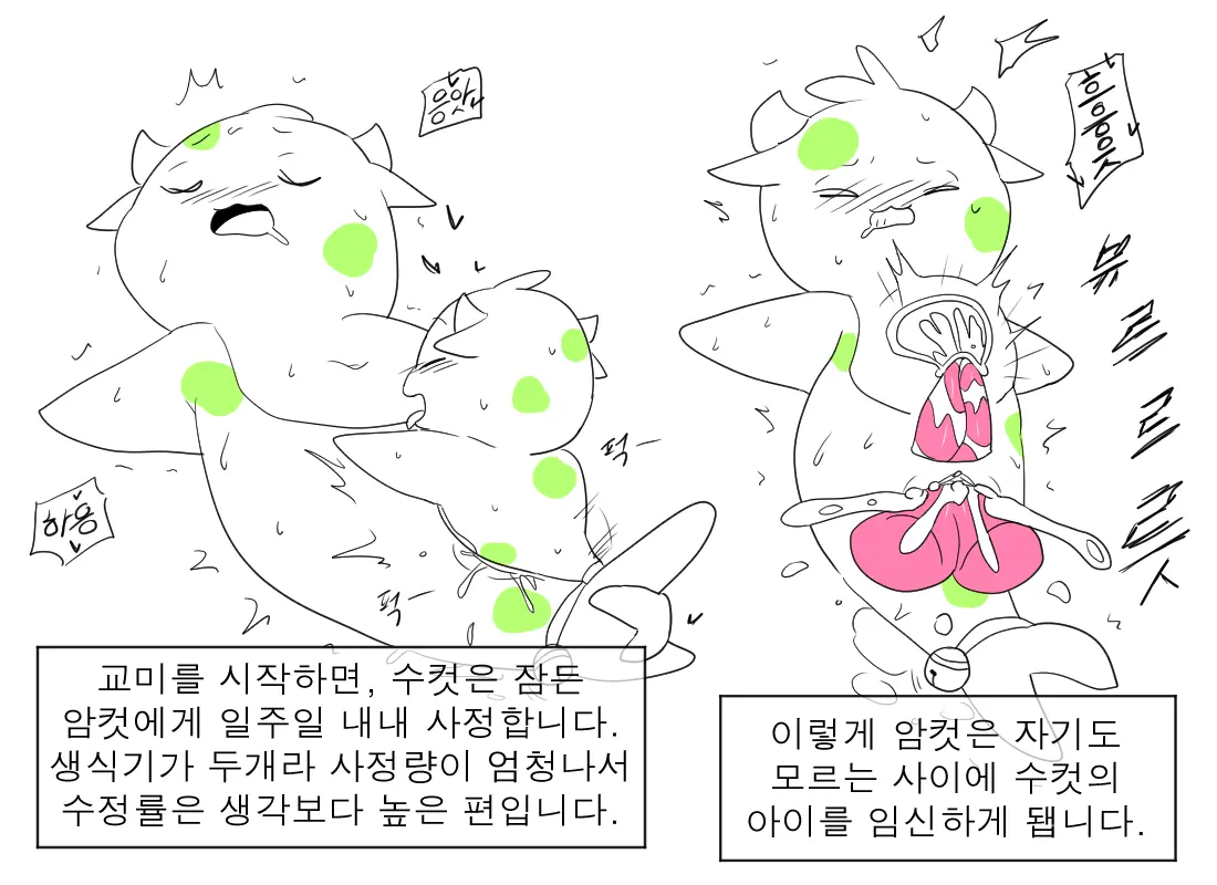 머랭