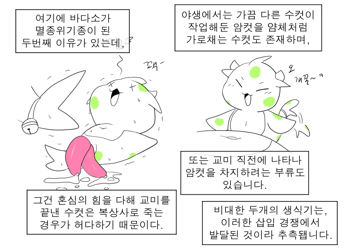 머랭