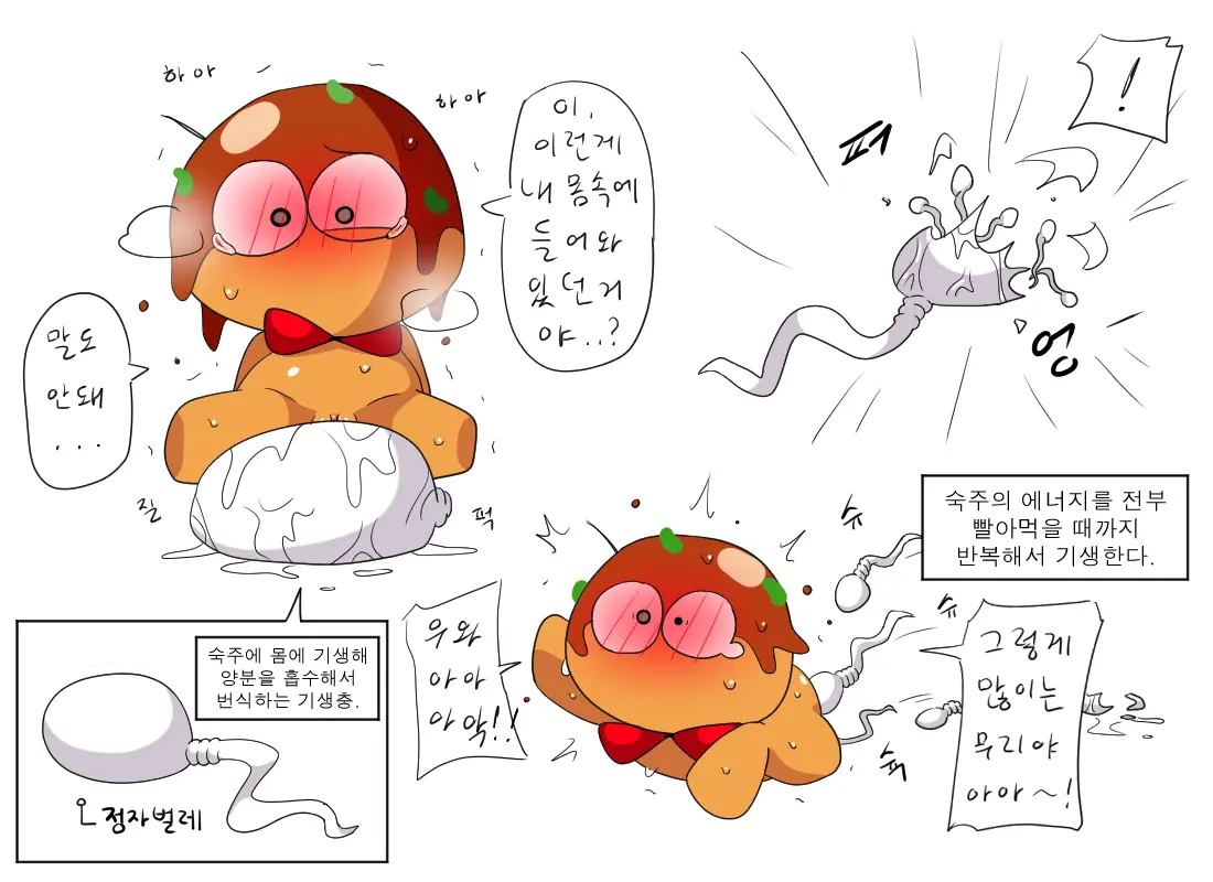 머랭