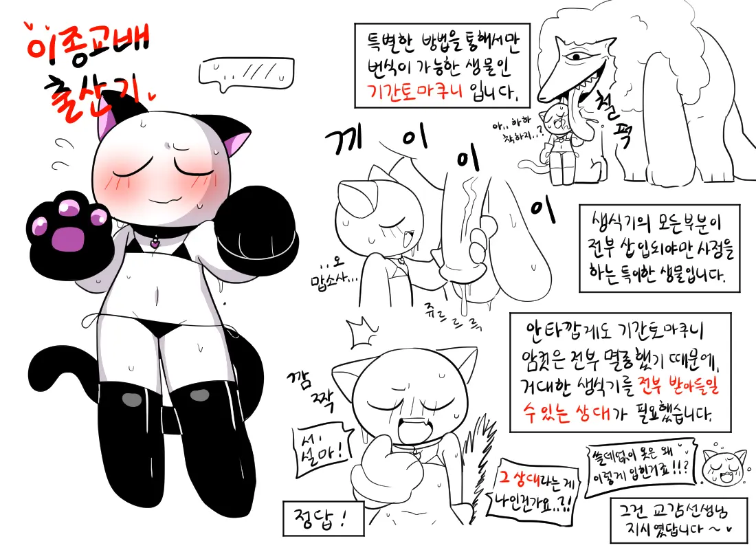 머랭
