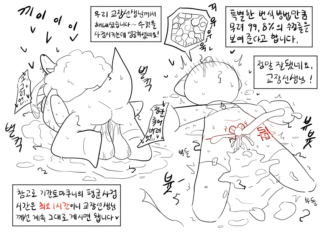 머랭