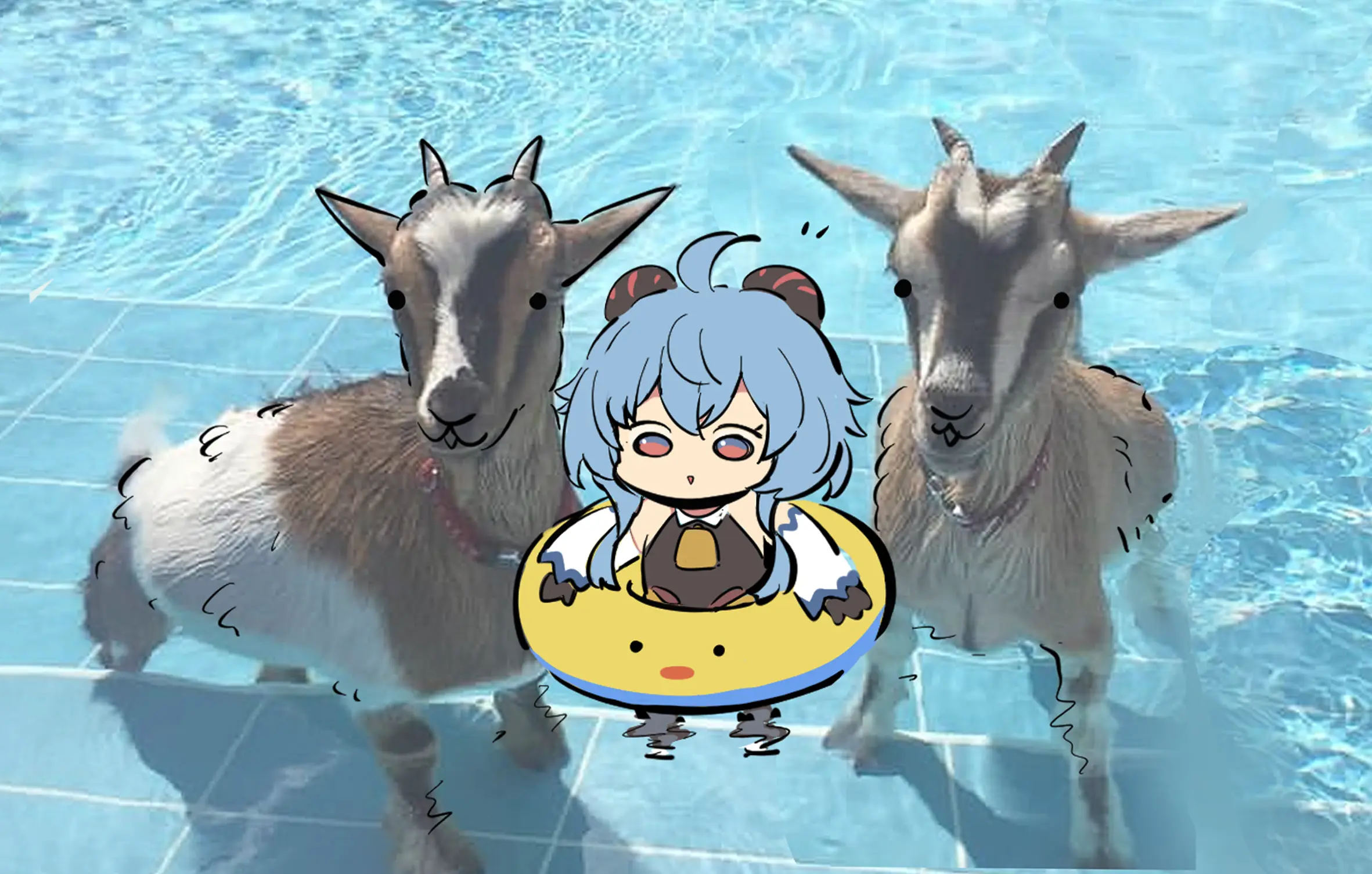 Ooyun