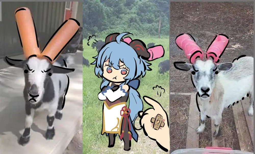 Ooyun
