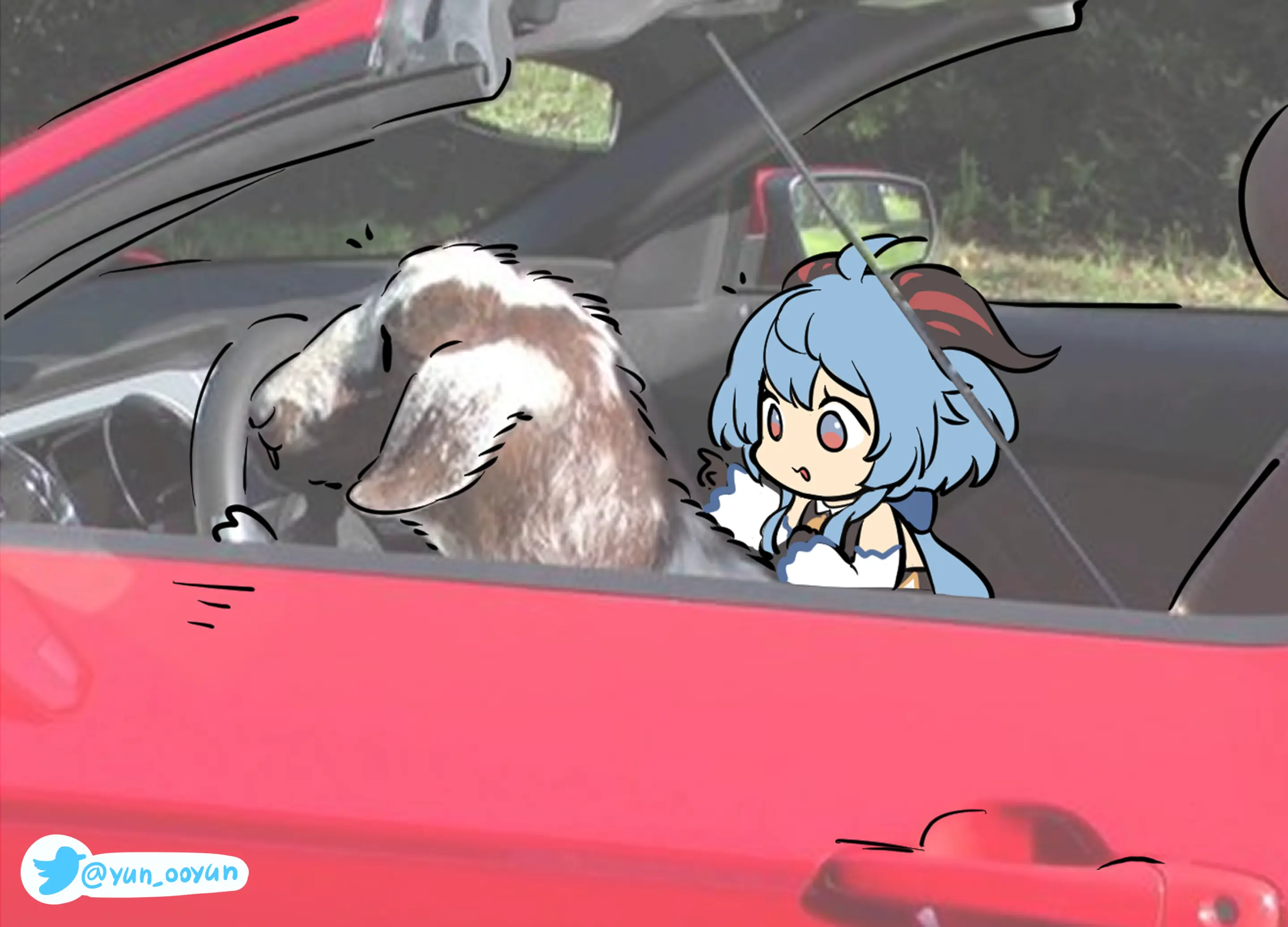 Ooyun