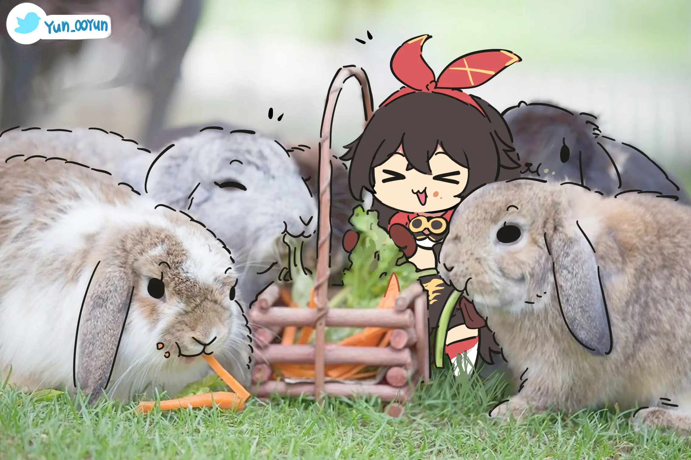 Ooyun