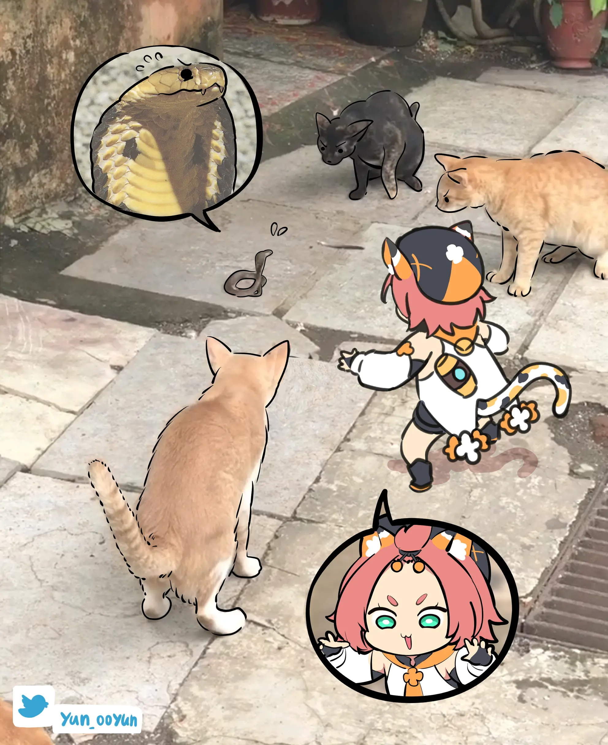 Ooyun