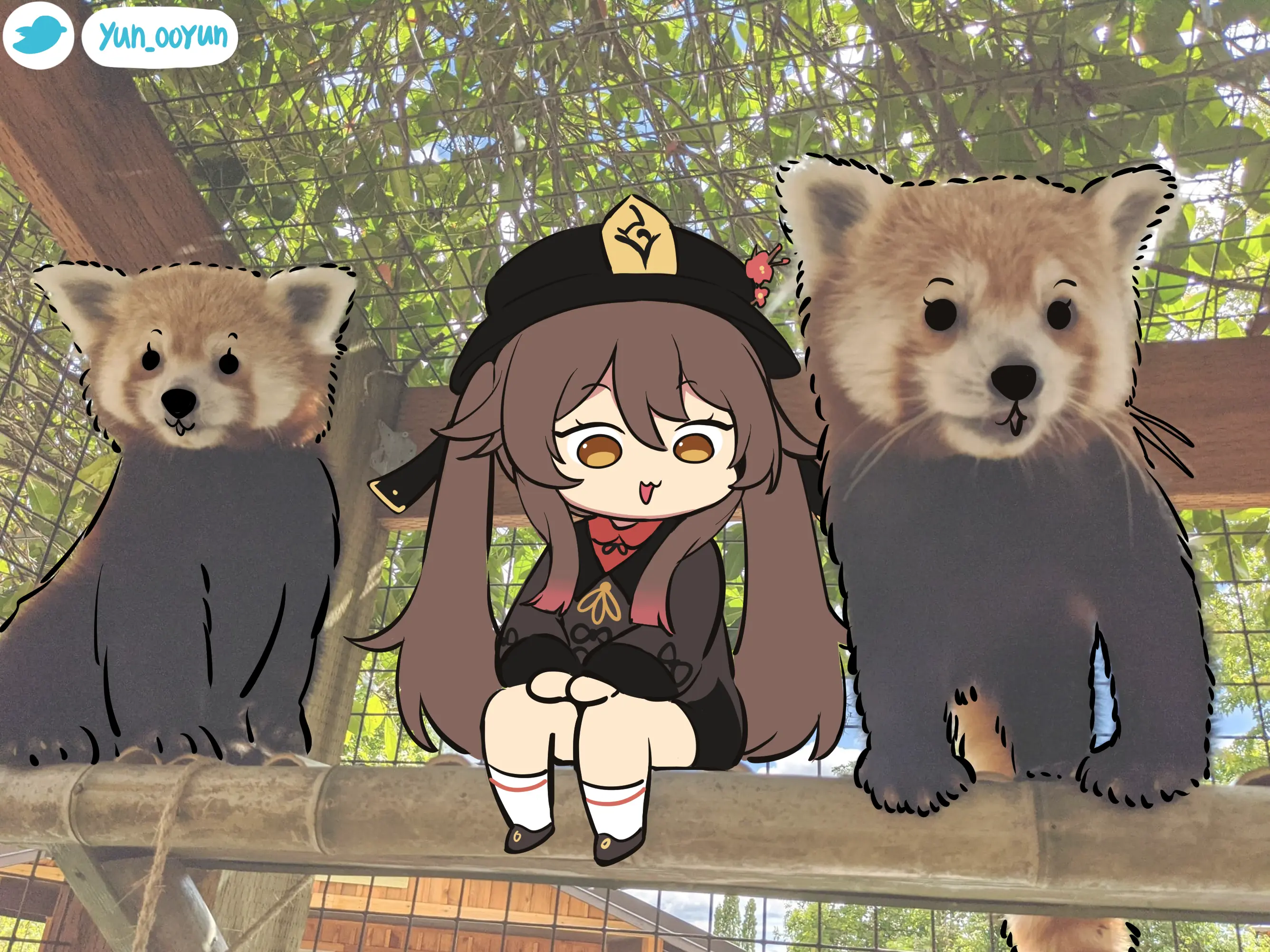 Ooyun