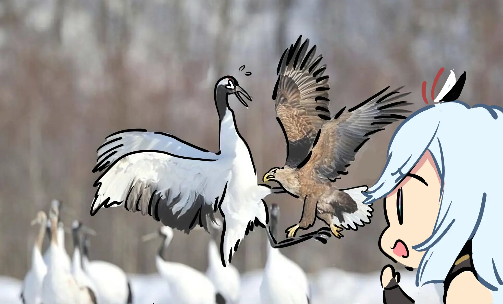 Ooyun