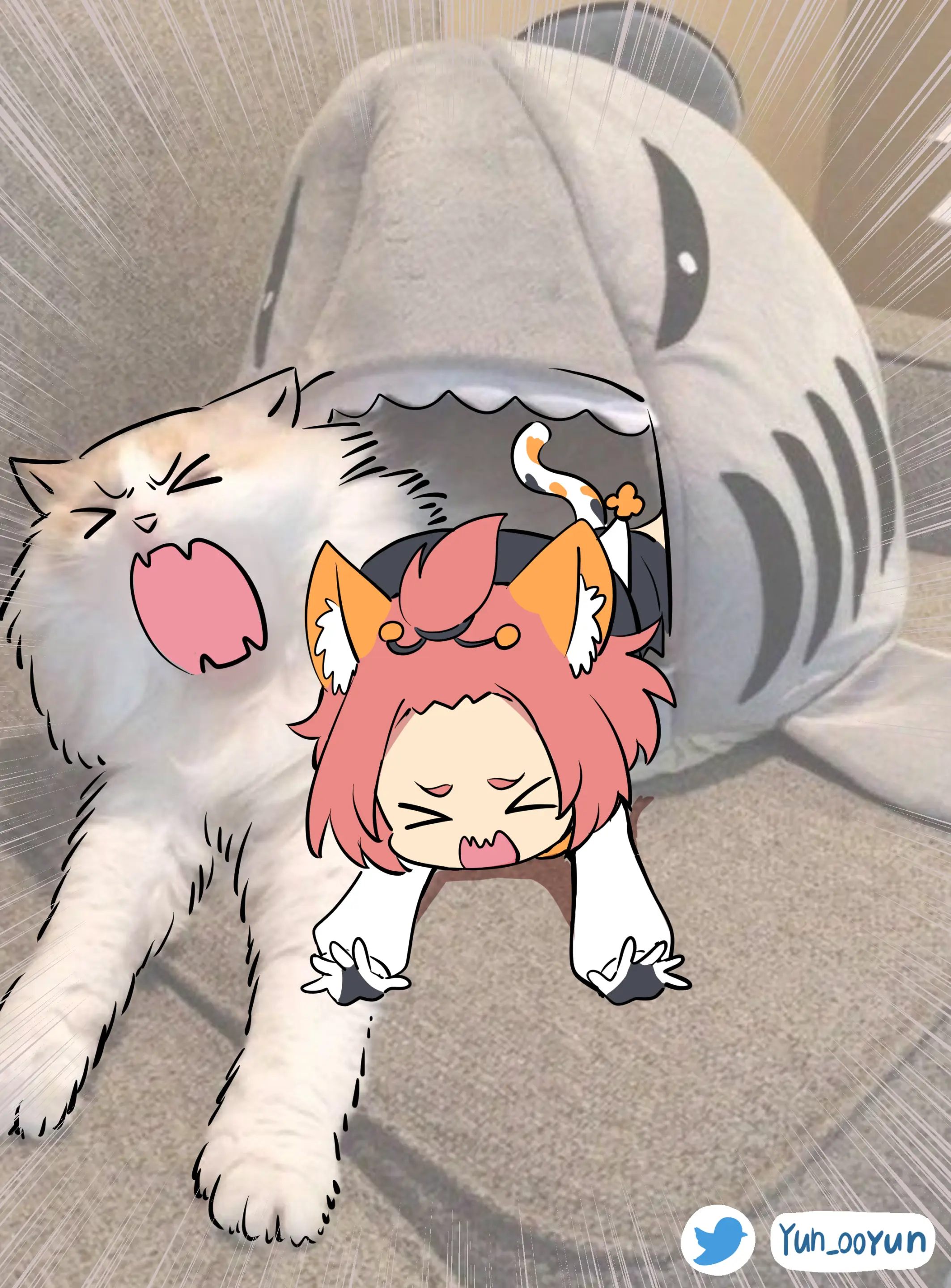 Ooyun