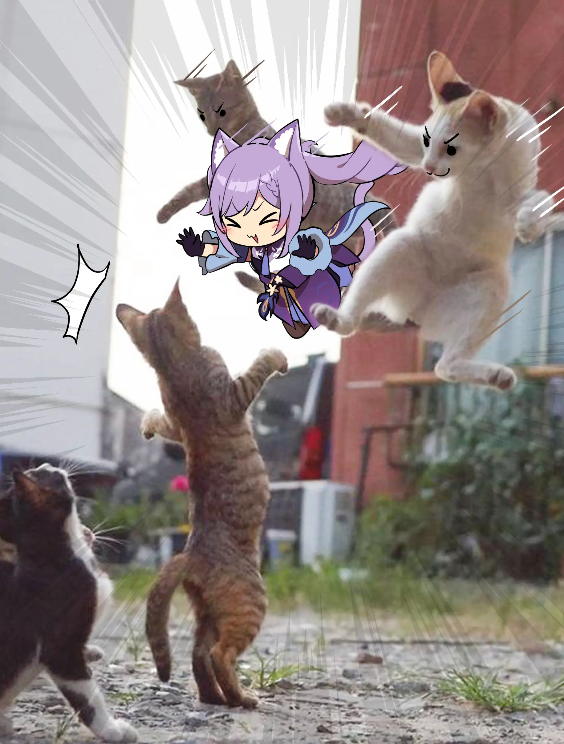 Ooyun
